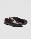 Sapato Derby Giordano Café